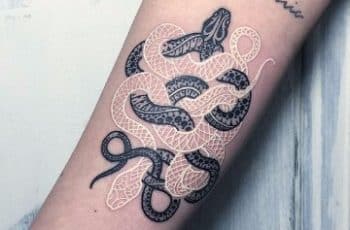 Imagenes de tatuajes de cobras en el brazo para descargar
