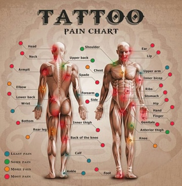 zonas de dolor tatuajes mapa