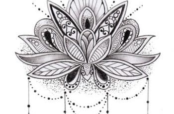Imagenes y dibujos de flor de loto para tatuajes de mujeres