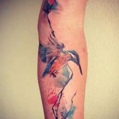 Imagenes de colibries para tatuajes maya de hombres