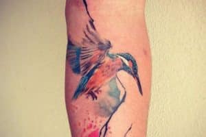 imagenes de colibries para tatuajes grande
