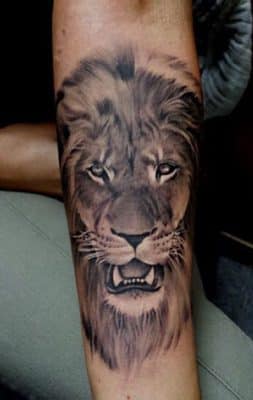 tatuajes de leones en el brazo para hombre