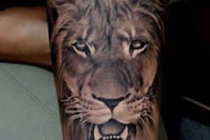 tatuajes de leones en el brazo para hombre