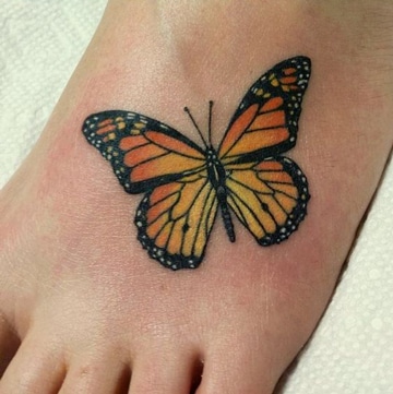 imagenes de mariposas para tatuajes monarca