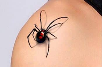 Maravillosos y realistas tatuajes de araña en 3d