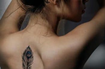 Hermosos y elegantes tatuajes de plumas en la espalda