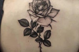 tatuajes de rosas con espinas espalda