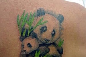imagenes de pandas de amor familiar
