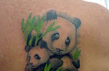 Bonitos tatuajes e imagenes de pandas de amor