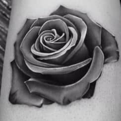 Distintos diseños y dibujos de rosas para tatuaje