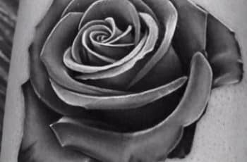 Distintos diseños y dibujos de rosas para tatuaje
