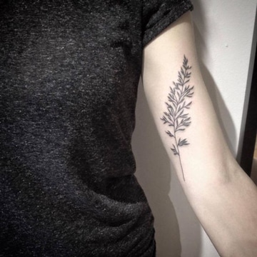 tatuajes en el biceps interior de hojas
