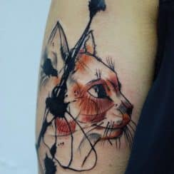 Genialidad de los tatuajes de gatos para hombres