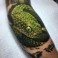 Increibles y coloridos tatuajes de serpientes en 3d