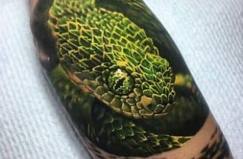 Increibles y coloridos tatuajes de serpientes en 3d