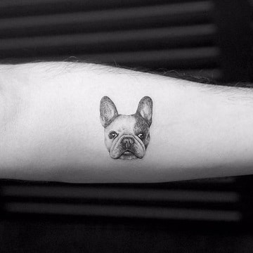 tatuajes de bulldog frances en el brazo