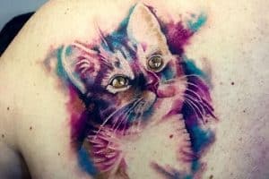 tatuajes de gatos en acuarela en la espalda