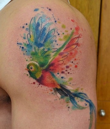 tatuajes de pájaros de colores en el hombro