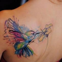 Radiantes diseños de tatuajes de pájaros de colores