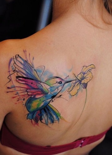 tatuajes de pájaros de colores en la espalda