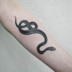 Asombrosos tatuajes de serpientes en el brazo