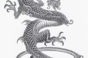 imagenes de dragones para tatuajes en blanco y negro