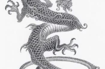 Diseños tradicionales e imagenes de dragones para tatuajes