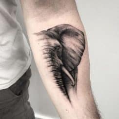 Diseños unicos de tatuajes de animales en el brazo