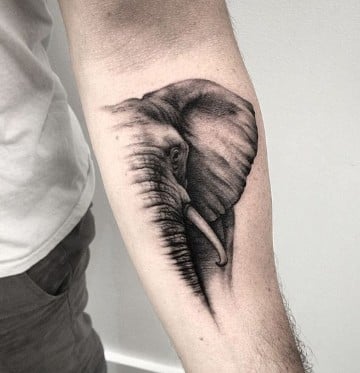 tatuajes de animales en el brazo realistas
