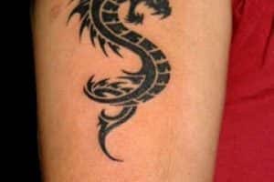 tatuajes de dragones pequeños en el brazo