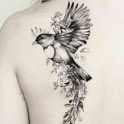 Hermosos diseños de tatuajes de aves en la espalda