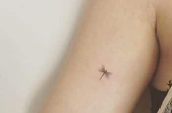 Profundos significados de tatuajes de libelulas pequeñas