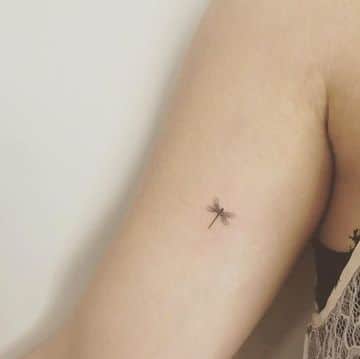 tatuajes de libelulas pequeñas en el brazo