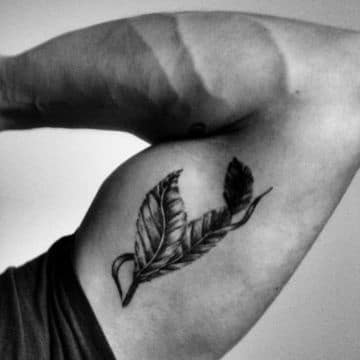 tatuajes de plumas para hombres en brazo