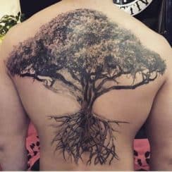 Diseños geniales de tatuajes de arboles en la espalda