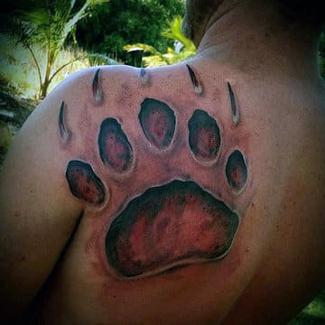 tatuajes de garras de oso en la espalda