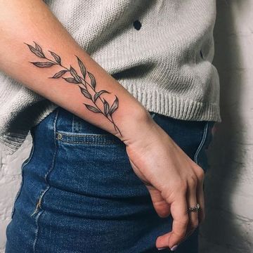 tatuajes de hojas de olivo en el brazo