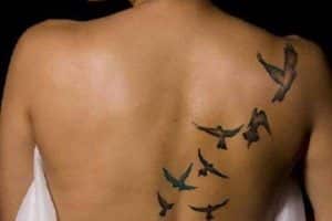 tatuajes de aves volando en la espalda