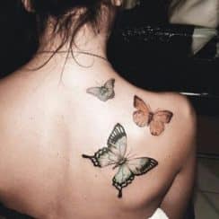 Diferentes y hermosos tatuajes de mariposas en la espalda