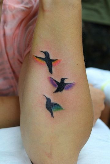 tatuajes de pájaros en el brazo a colores