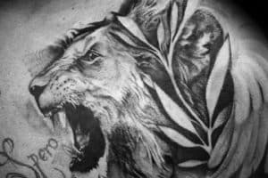 modelos de tatuajes de leones en el hombro