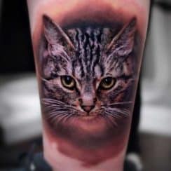 Grandes detalles en los tatuajes de gatos realistas