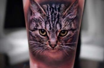 Grandes detalles en los tatuajes de gatos realistas