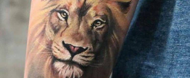 Realistas Tatuajes De Leones A Color Con Mas De 50 Detalles