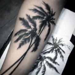 Diversos tatuajes de palmeras significado en 3 partes