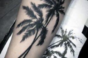 imagenes de tatuajes de palmeras significado