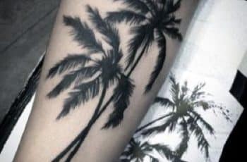 Diversos tatuajes de palmeras significado en 3 partes