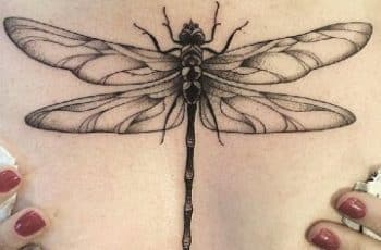 2 coloridos tatuajes de libelulas en la espalda y 2 negros