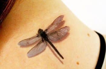 Tatuajes de libelulas en el hombro con 1000 detalles