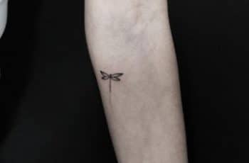 Curiosos tatuajes de libelulas pequeñas con 3 significados